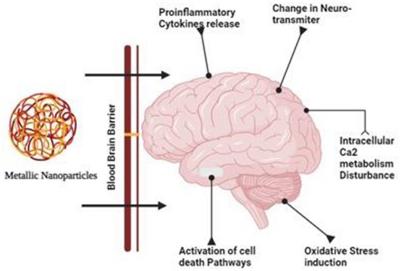 Insights into nanoparticles-induced neurotoxicity and cope up strategies